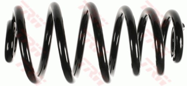 Audi A4 B6 Arka Aks Süspansiyon Yayı TRW