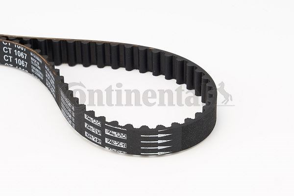 Peugeot Bipper 206 207 306 Partner Citroen Nemo Xsara Berlingo C3 II Fiat... CONTITECH