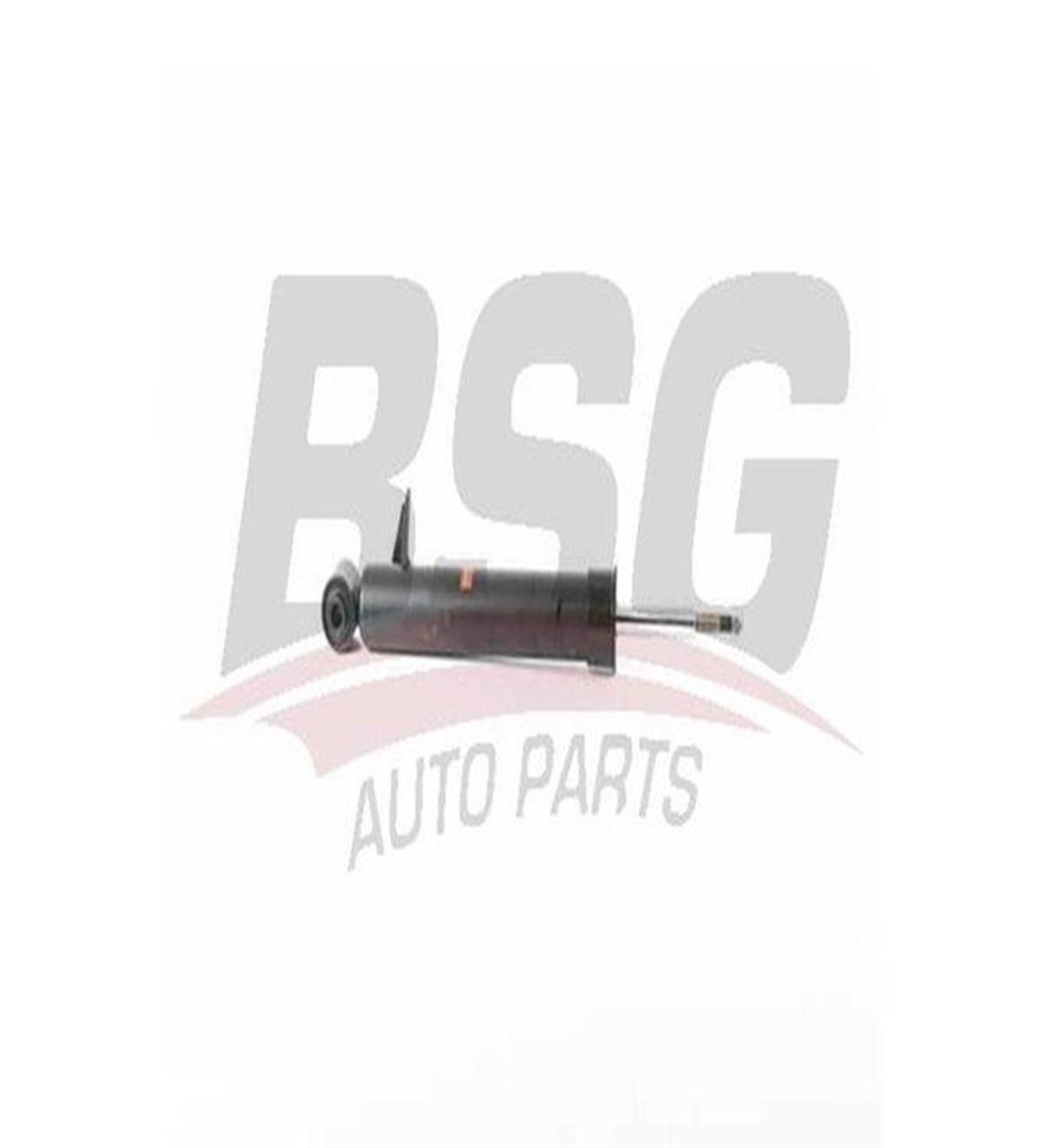 Bmw X5 E70 X6 E71 Arka Amortisör Bsg (2008-2015) 33526781922