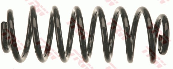 BMW 5 Serisi Touring E39 Arka Süspansiyon Yayı TRW