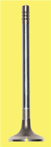 Citroen C2 C3 Xsara 2 Nemo Peugeot 107 206 207 307 Bipper Fiorino 1.4 HDI... GUNES