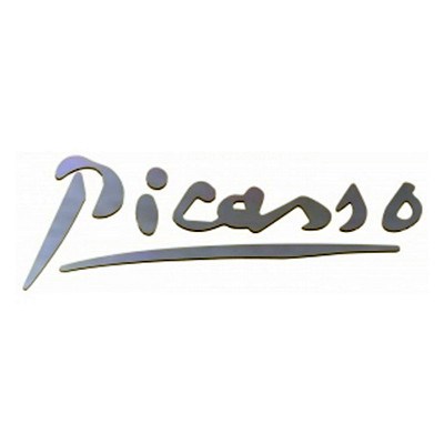 Citroen C4 Picasso Yazısı PSA