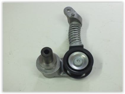 Citroen C6 Alternatör Gergi Rulmanı Makarası PSA