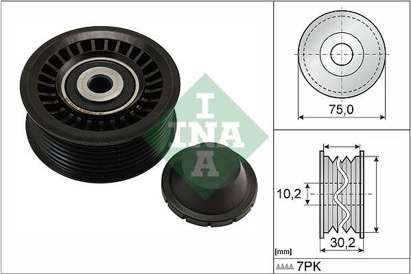 Renault Captur Alternatör Gergi Rulmanı INA