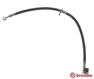 Honda Civic Ön Sol Fren Hortumu BREMBO