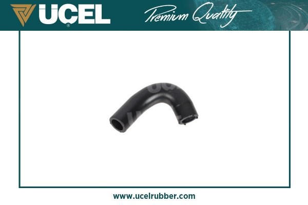 Renault Clio III EGR Vana Borusu UCEL