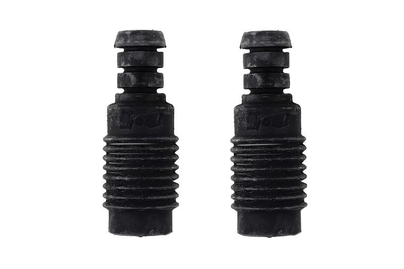 Renault Clio III V B1 BILSTEIN