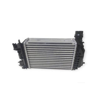 Renault Clio 5 Turbo Radyatörü Intercooler MY