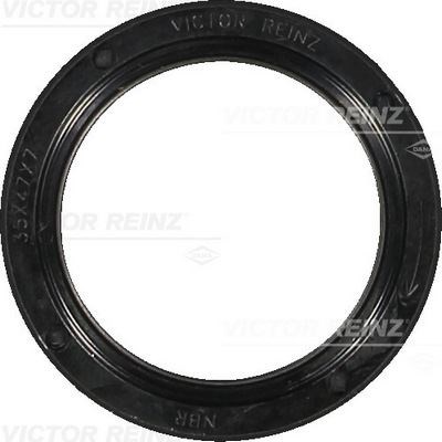 Renault Clio Fluence Kangoo Laguna Megane Modus Scenic Duster Logan Sandero... V.REINZ