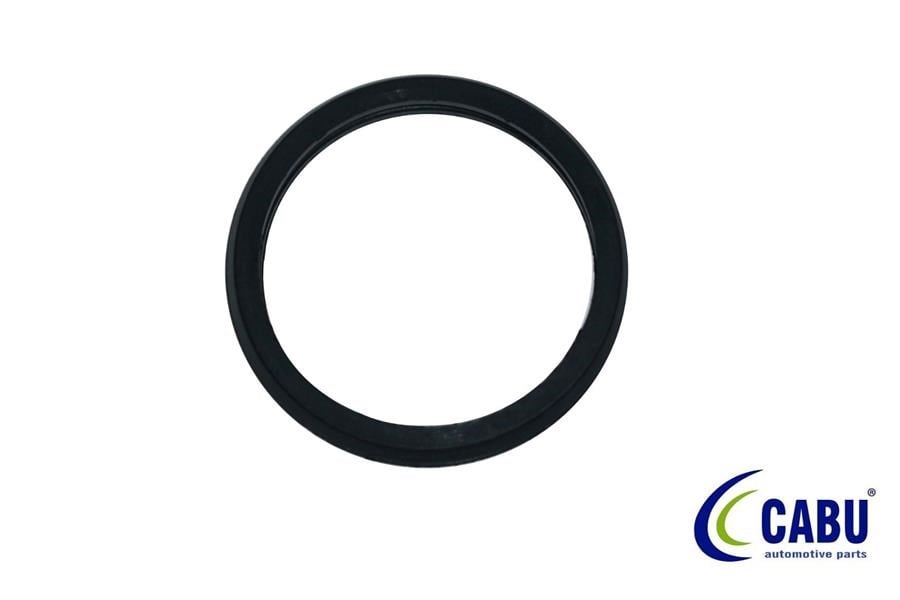 Ford Connect 1.8 TDCI Termostat Contası CABU