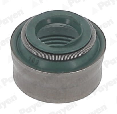 Ford Connect Taunus Subap Lastiği 1.8 TDCİ PAYEN