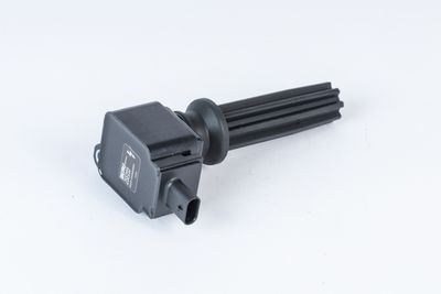 Ford Connect Ateşleme Bobini 1.5 TSİ BERU