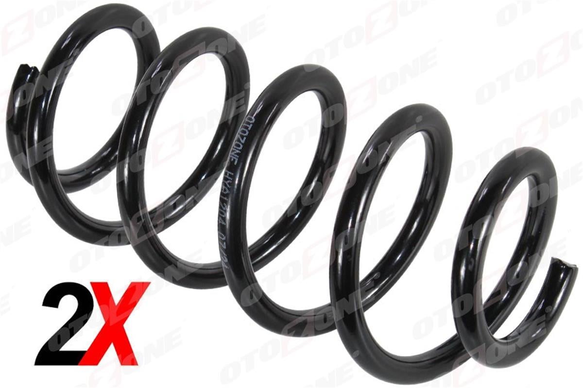 Dacia Logan 1 Helezon Yayı Arka 6001550901