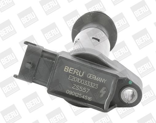 Citroen DS3 1.2 VTİ Ateşleme Bobini BERU