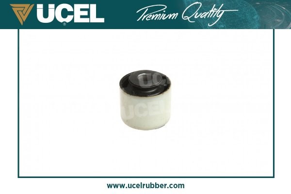 Dacia Duster Büyük Denge Kol Burcu UCEL