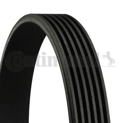 Mercedes W124 W202 W203 CL203 S212 W140 W166 W463 B901 B904 Kanallı Kayış CONTITECH