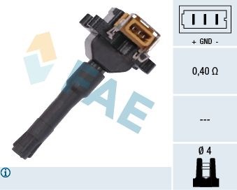 BMW E31 E34 E36 E32 E38 M50 M60 Ateşleme Bobini FAE