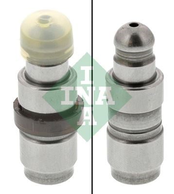 BMW E90 F10 F20 F30 G30 F40 F45 F46 F32 F33 F34 F36 G22 G32 F01 G11 E84 F48... INA