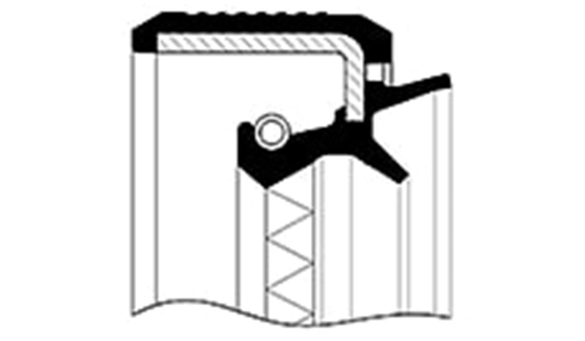 Ford Transit Arka Aks Keçe Lastik 6135865-1572251