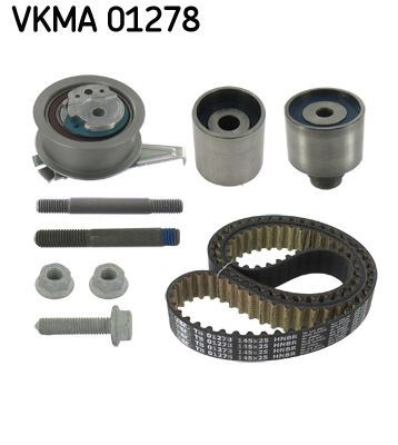 Triger Seti PTFE SKF