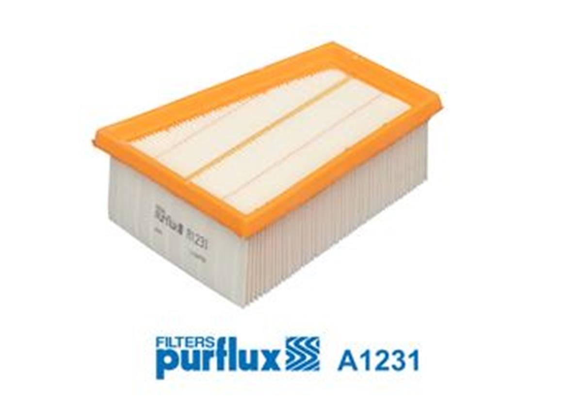 Hava Filtresı (Küçük Ucgen) 1.4 16V Megane Iı