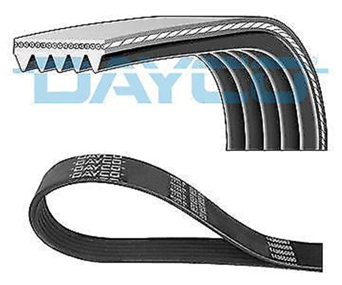 Kanallı Kayış Ferrarı 456 Mıtsubsubıshı 25 2.7 12V 84-89 2.8 12V 86-92