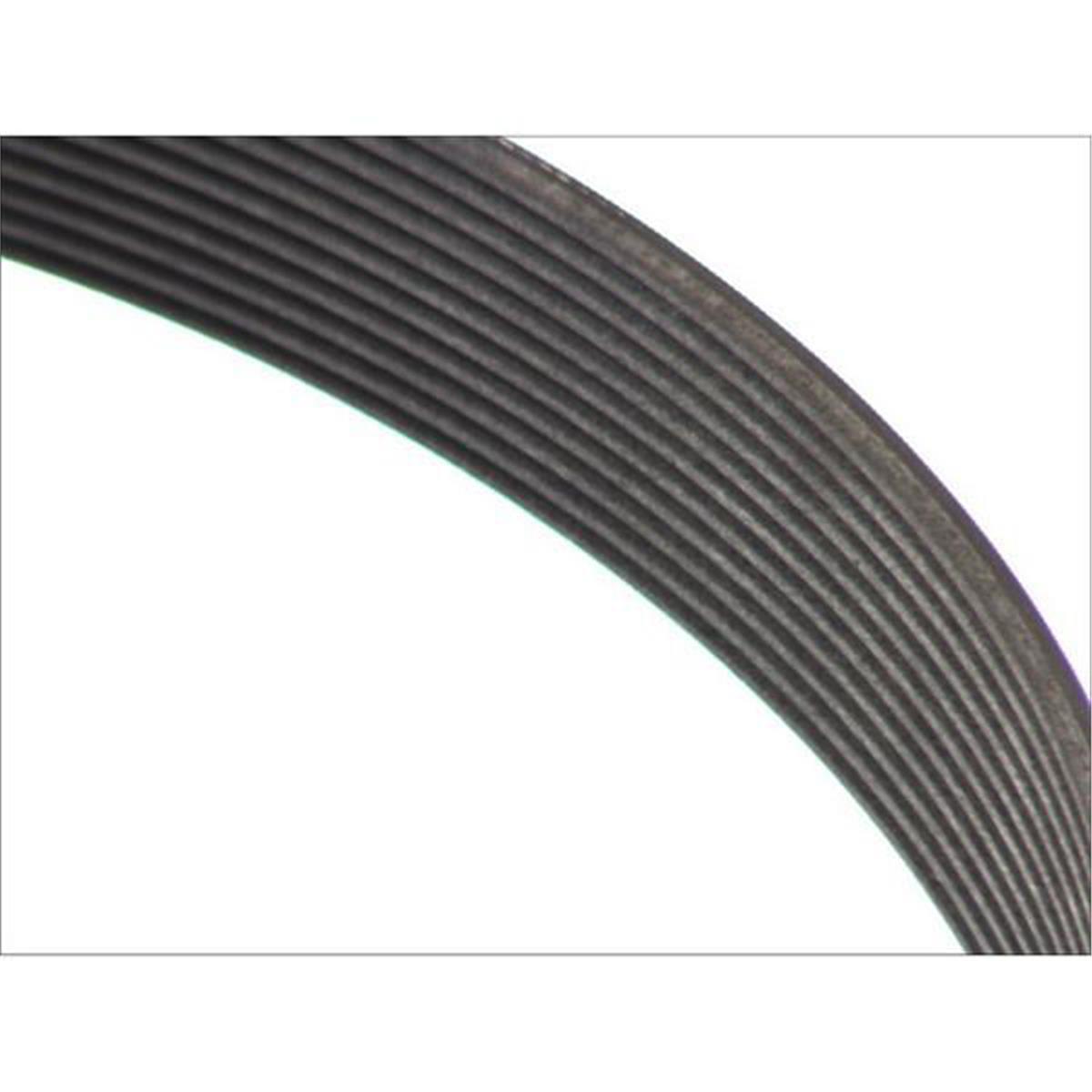 Kanallı Kayış Volvo 440 460 480 85-97
