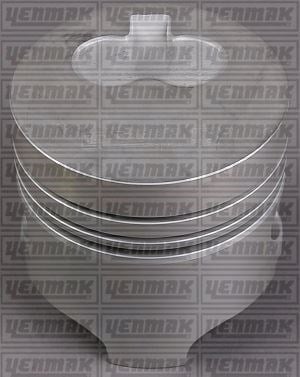 Renault Kangoo Express R19 1.9 Dizel Motor Piston Segman STD Çukurlu YENMAK