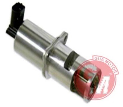 Renault Laguna Megane Scenic Trafic EGR Valfi GUA