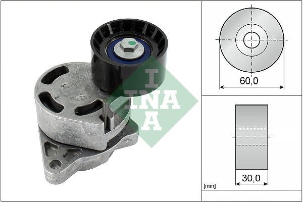 Renault Master 2 Alternatör Gergi Rulmanı INA