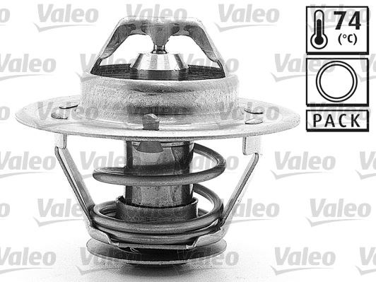 Renault Master Termostat VALEO