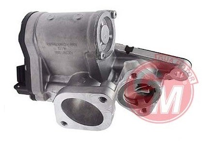 Renault Megane 2 Scenic 2 Laguna 2 Trafic 2 Opel Vivaro Grand Vitara EGR... GUA