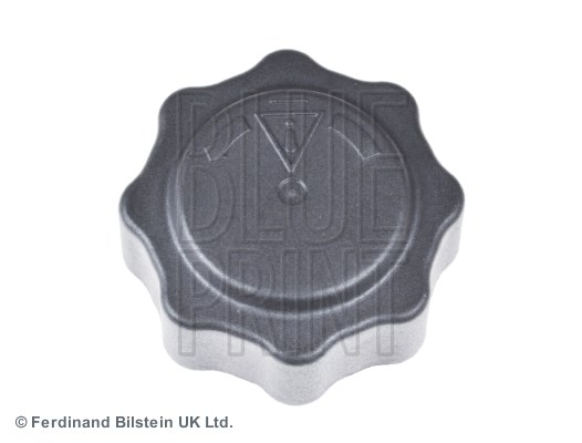 Mini Radyatör Kapağı BLUEPRINT