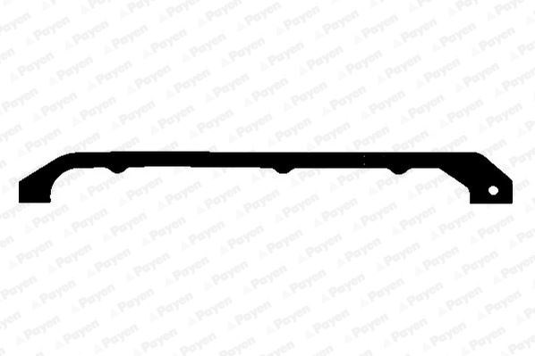 Peugeot Partner Berlingo Jumpy Xsara Ducato 206 306 307 406 2.0-2.2 HDI... PAYEN