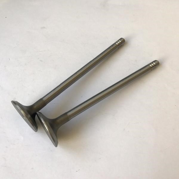 Volkswagen Passat Audi A4 A6 A8 TDI Supap SUPSAN