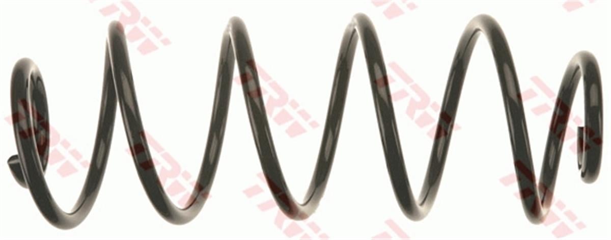 Peugeot 207 (2006-2013) Helezon Yayı Arka