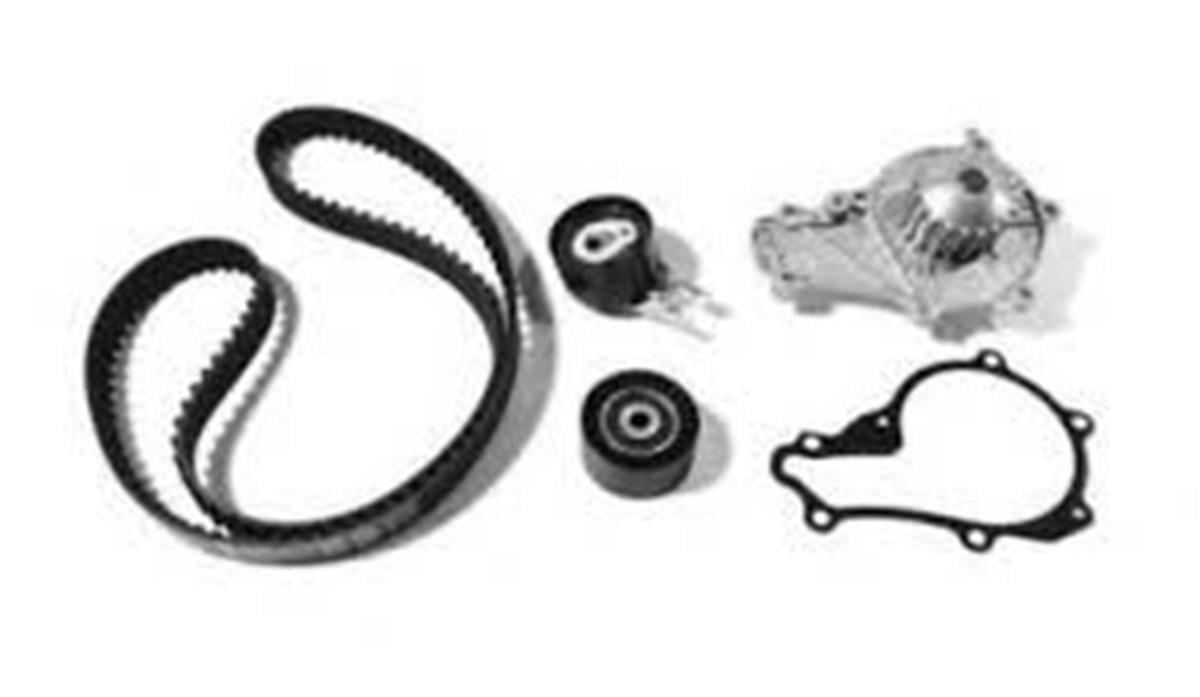 Peugeot 307 207 208 Citroen C3 C4 Triger Seti Devirdaimli Oe-Psa 1.6 Hdı 3M5q 8B596 Aa