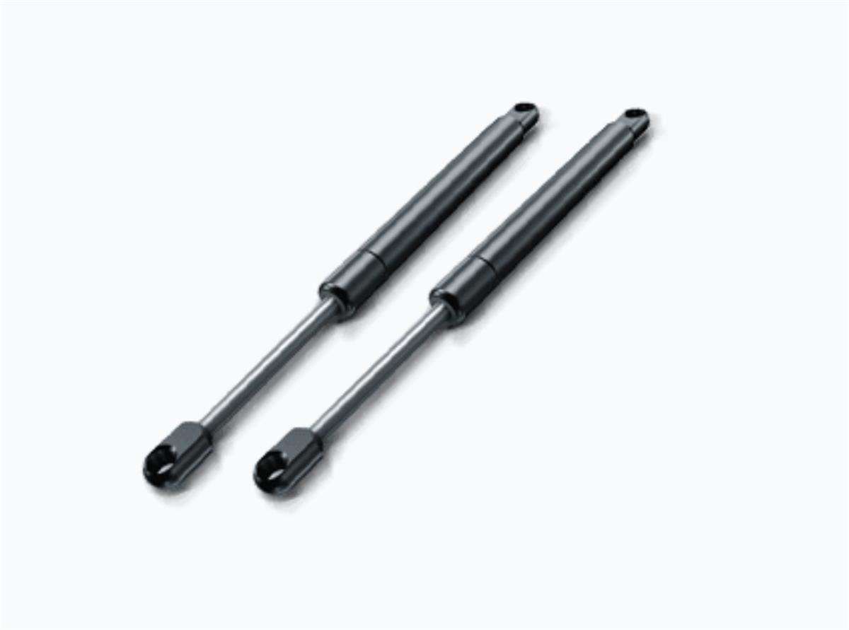 Renault Megane Scenic Arka Cam Amortisörü Bsg 98-03 7700430022