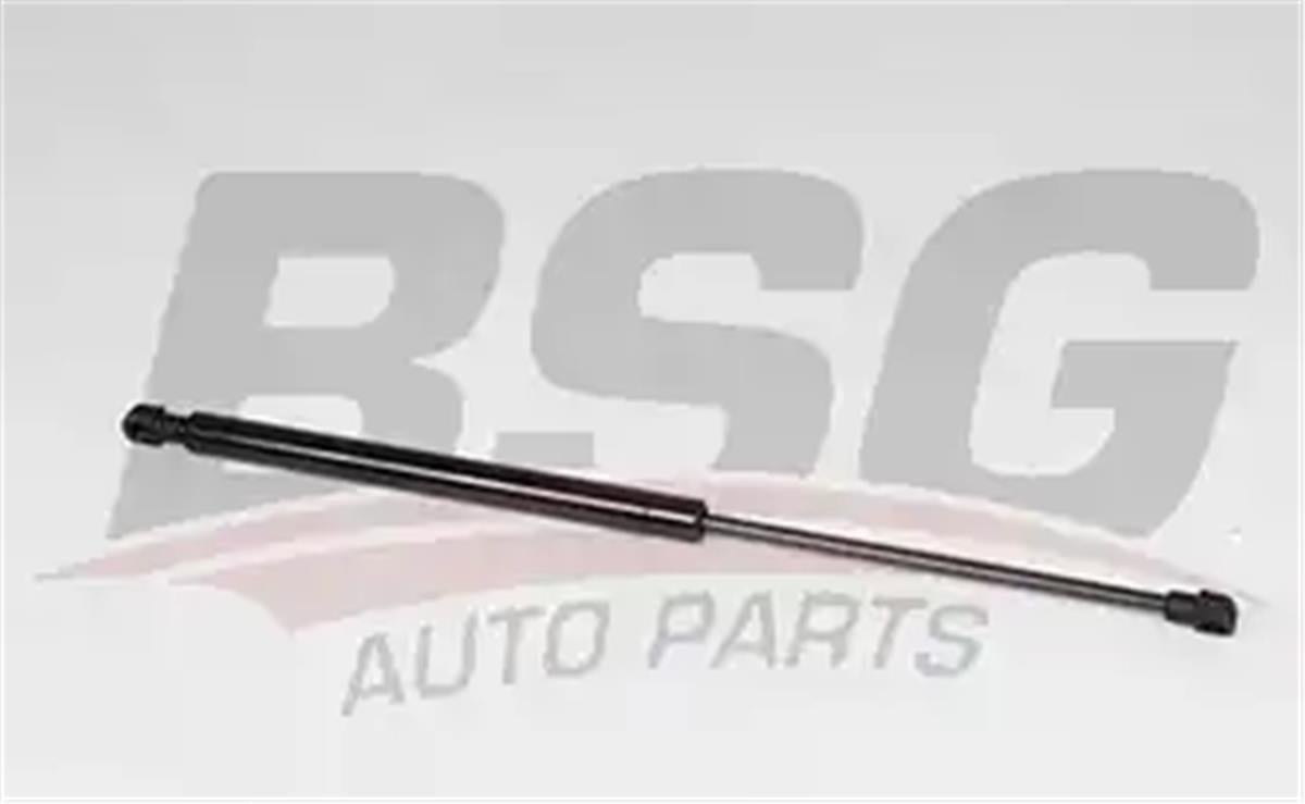 Renault Clio 3 (Br0/1, Cr0/1) Bagaj Amortisörü Bsg (04-10) 8200299546