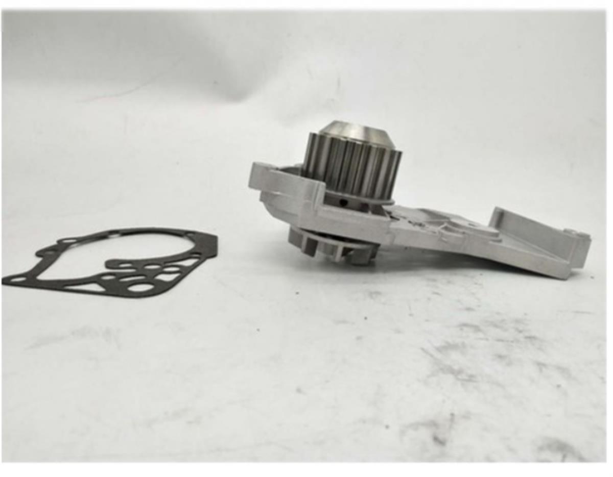 Renault Clio Kangoo Devirdaim Pompası Aybay