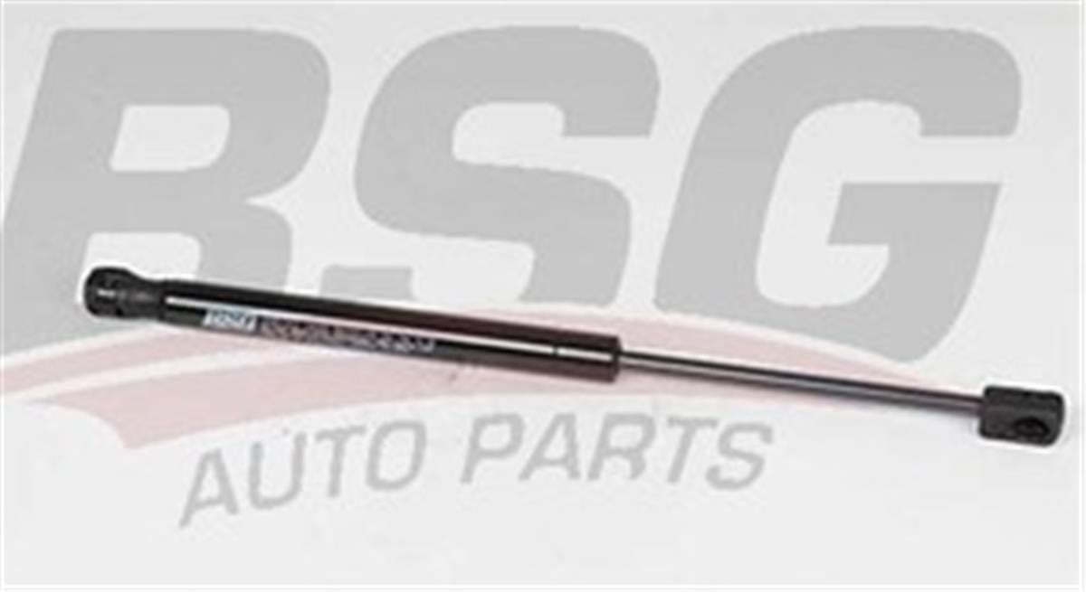 Renault Clio 2 Bagaj Amortisörü Bsg (Bm 98-) 7700842256