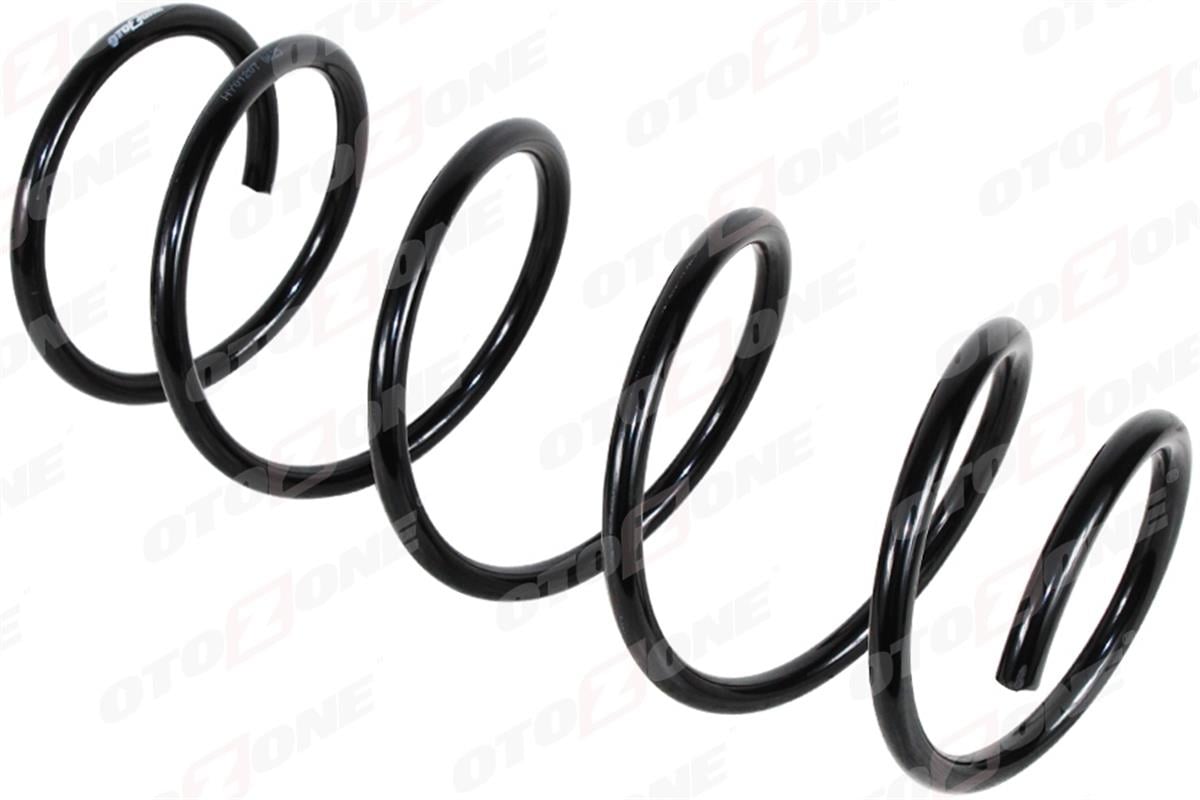 Renault Clio 2 (1998-2005) Helezon Yayı Ön 8455271-7700417229