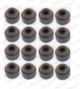 Volvo S40 V40 V50 S60 S70 C70 V70 XC70 S80 S90 V90 XC90 850 960 6mm Benzinli... PAYEN