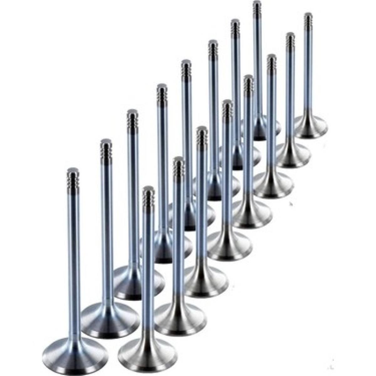 Clio Megane 1.4 16V K4m K4j Motor Subap Takımı In-Ex - Güneş 7701473354-7701471378