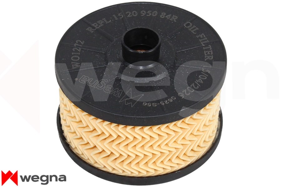 Renault Taliant Austral Clio 5 Megane 4 Talisman Nissan Qashqai 2 Micra 5... WEGNA