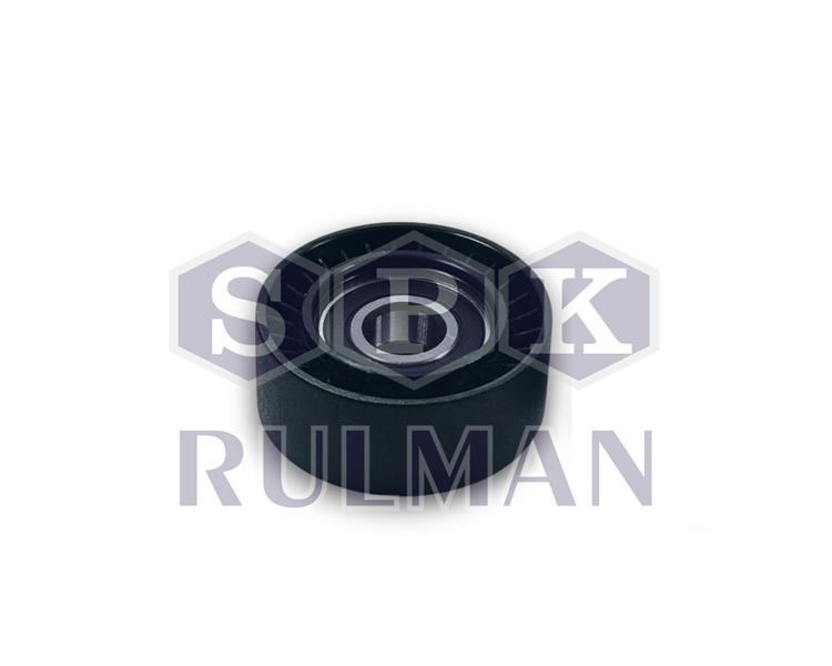 Ford Transit Custom Alternatör Gergi Rulmanı SPK
