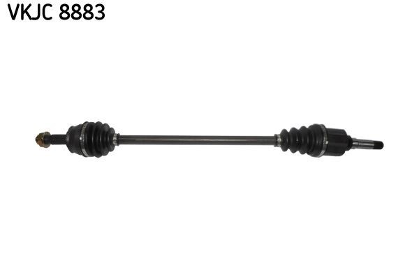 Aks Rulmanı SKF