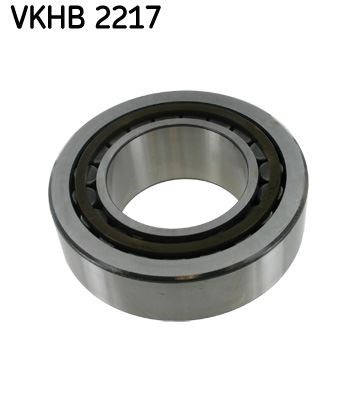 Aks Askı Rulmanı SKF