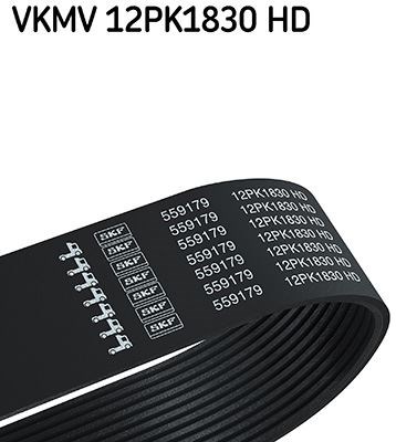 V Kayışı SKF