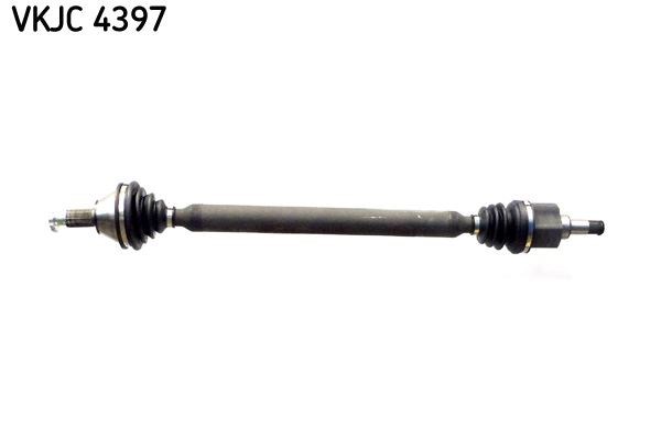 Aks Rulmanı SKF